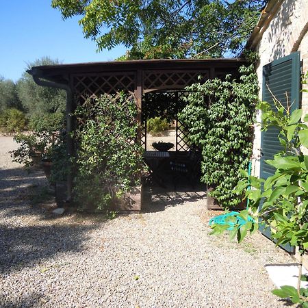 Apartament Fontemaggio Colle Val D'Elsa Zewnętrze zdjęcie