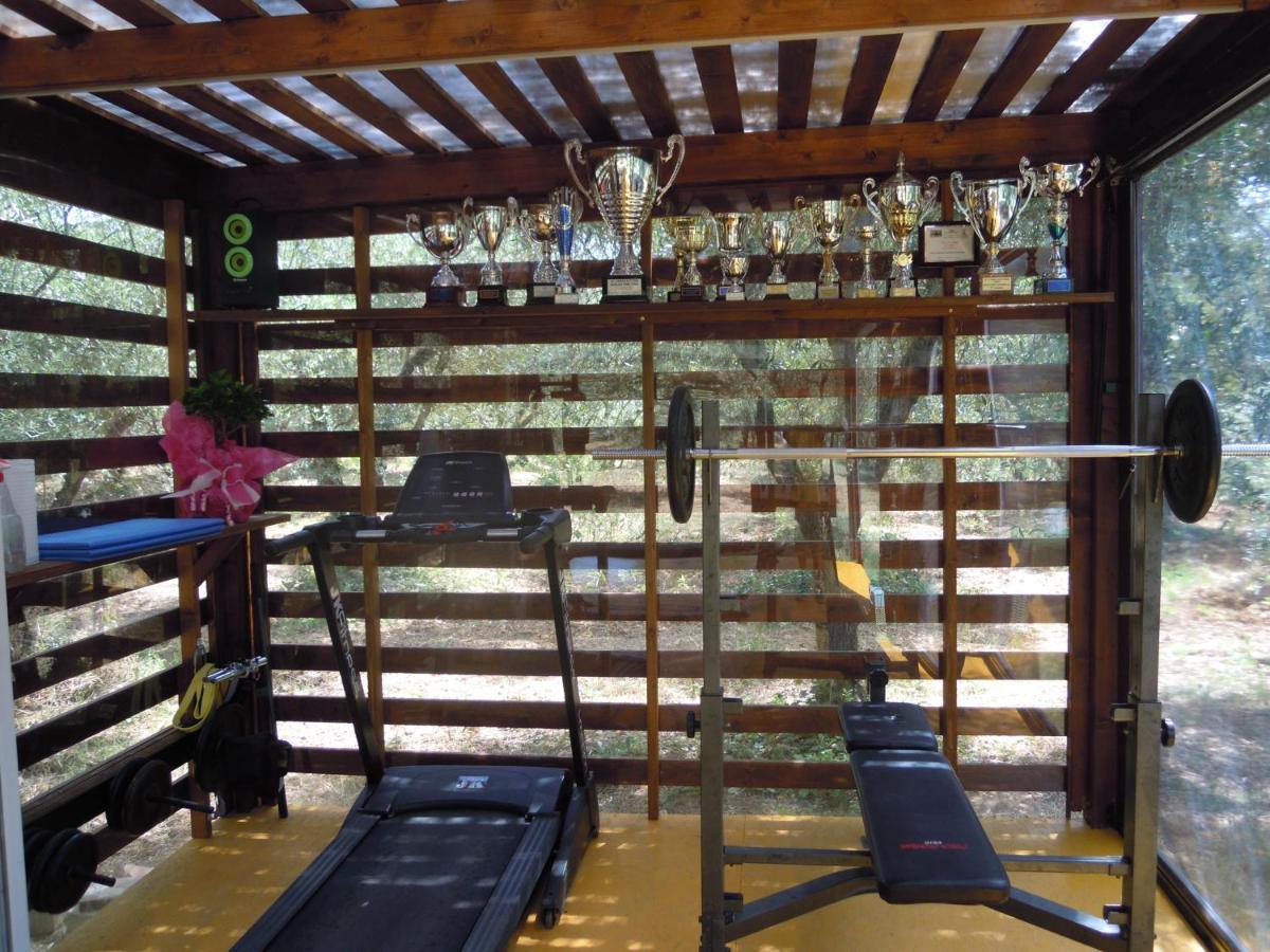 Apartament Fontemaggio Colle Val D'Elsa Zewnętrze zdjęcie